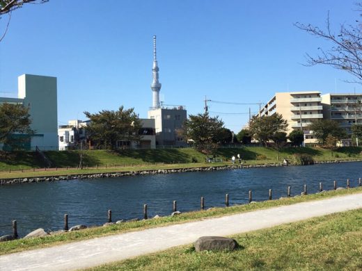 川越しに見る東京